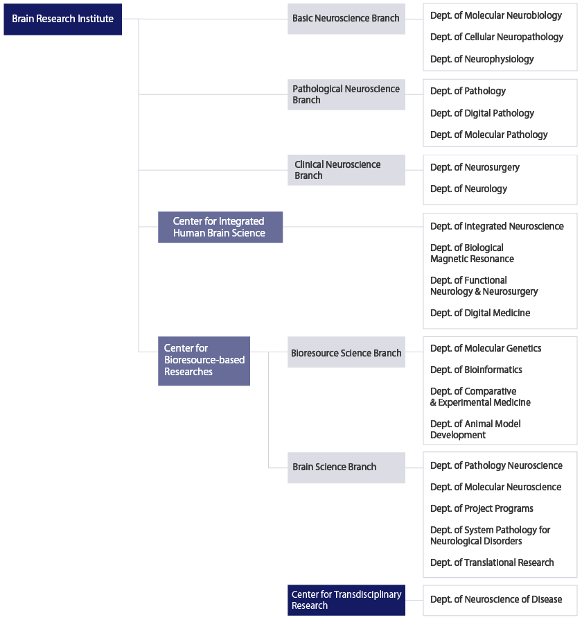 organization chart about bri brain research institute basic organization chart