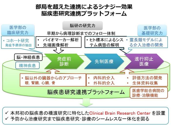 システム脳病態.jpg