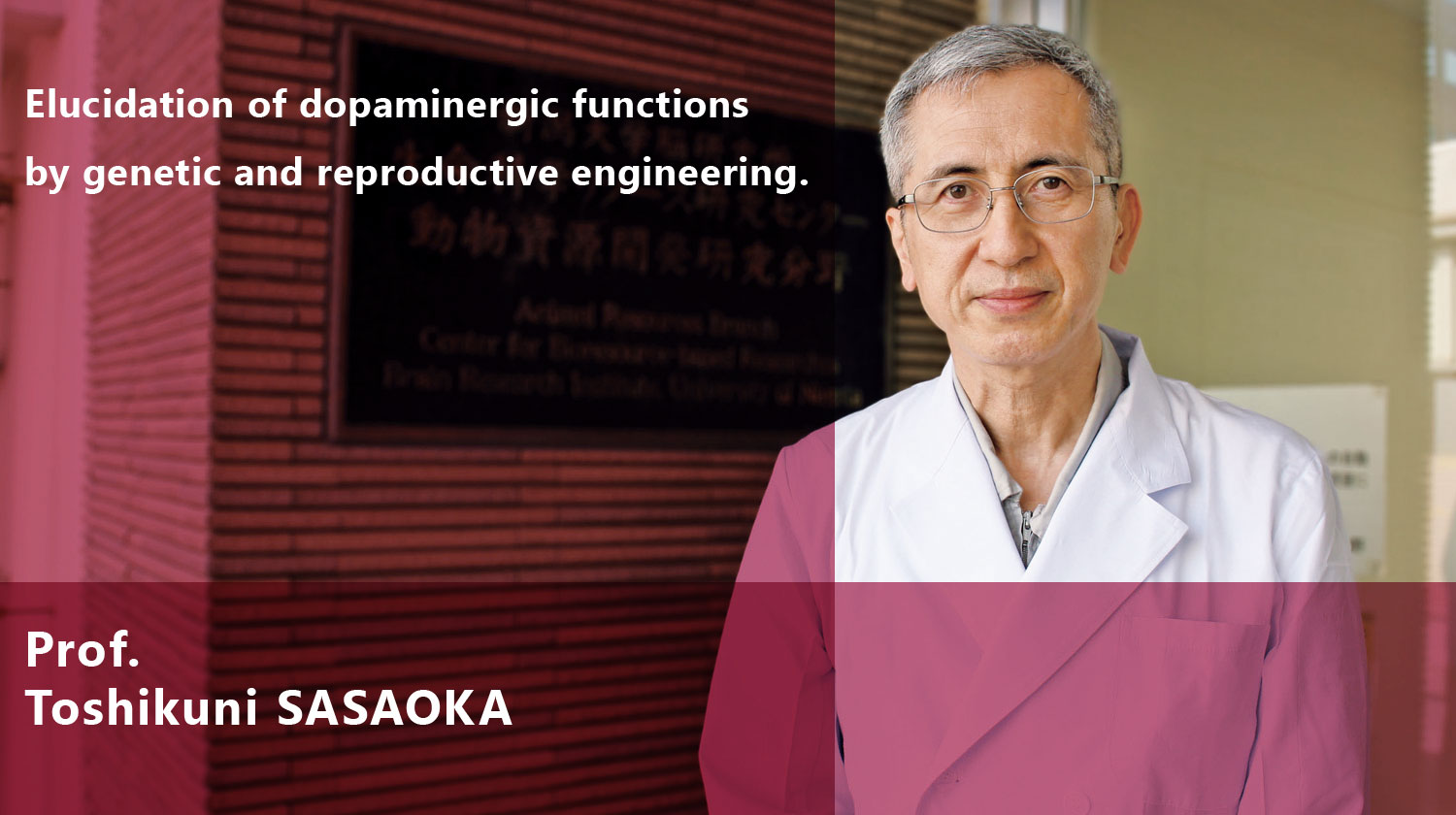 img-lab_animal_sasaoka_en.jpg