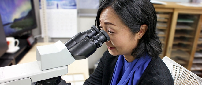 Young Scientists at BRI