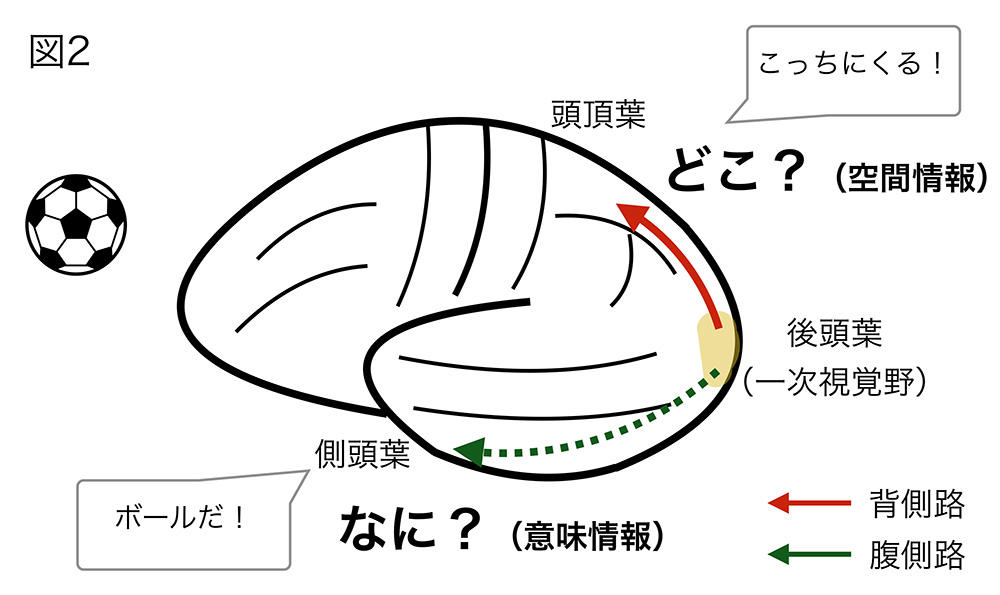 霊感 が ある 人 に は 見える 画像