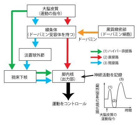 図４