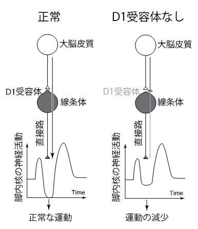 図６