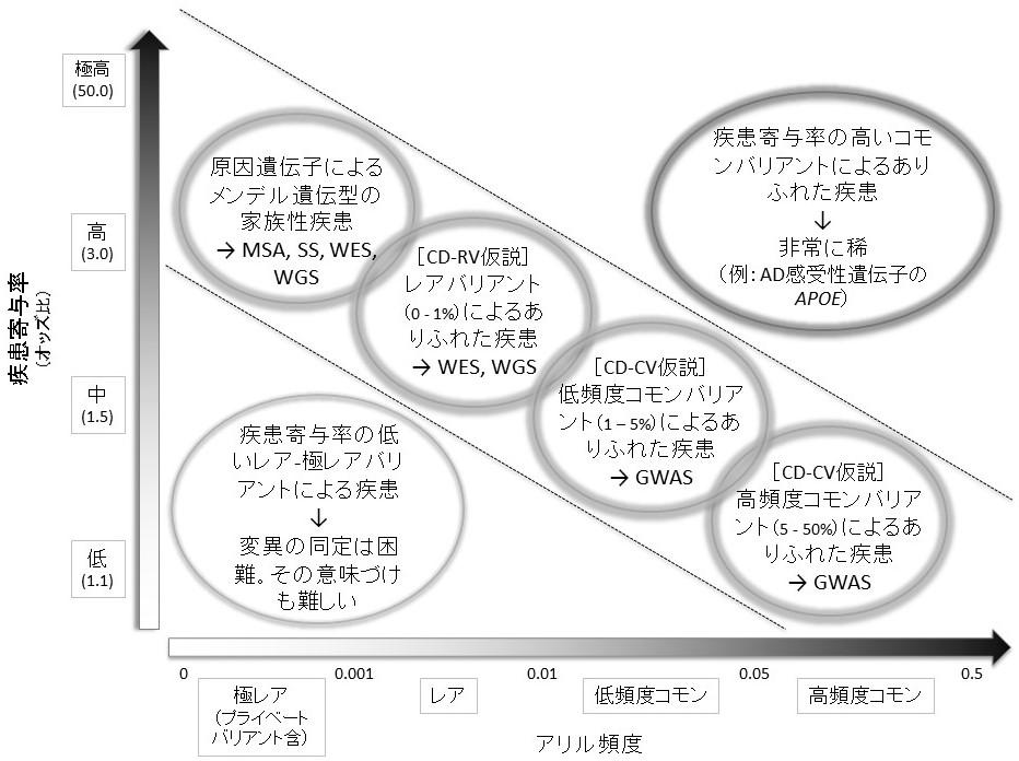 図１