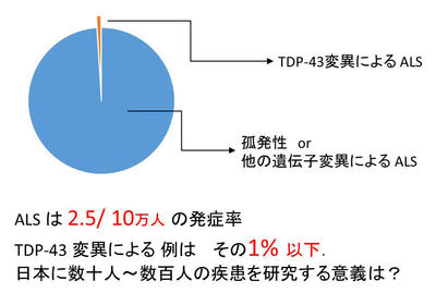 性分化疾患