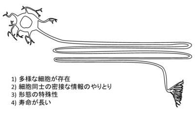 分疾2.JPG