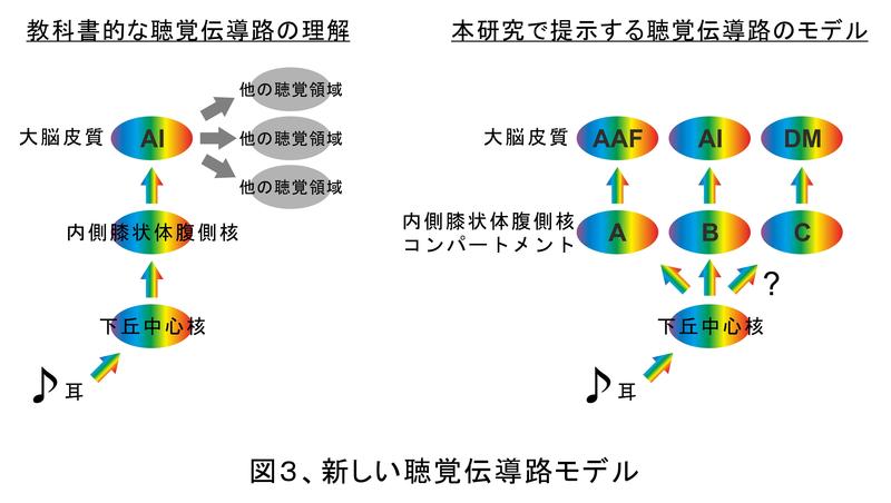 分疾3.JPG