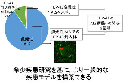 分疾4.JPG