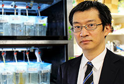 Professor Matsui awarded Takeda Science Foundation grant