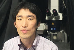 Assoc Professor Uchigashima awarded KAKENHI grant for Transformative Research Areas (A)