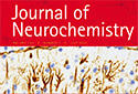 BRI research featured on the front cover of "Journal of Neurochemistry"