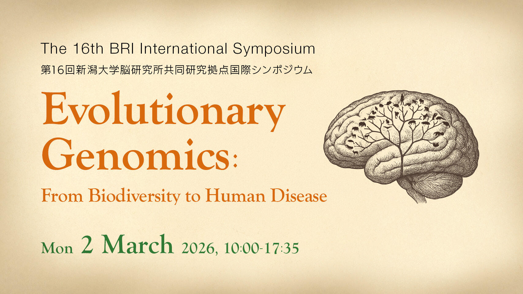 Report: The 16th BRI International Symposium