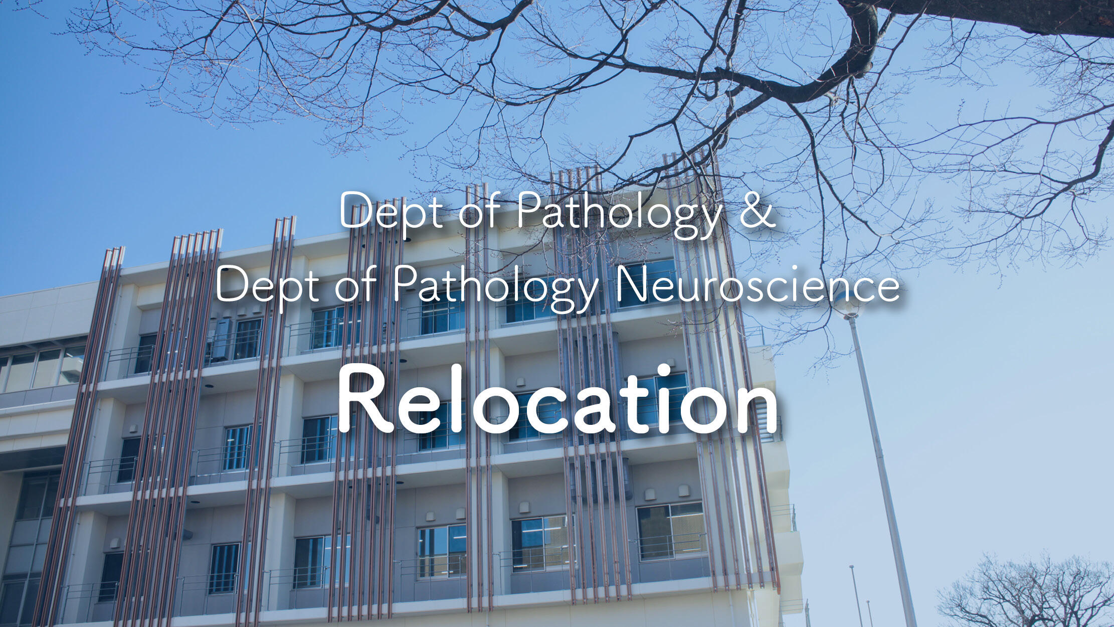 BRI Pathology departments complete relocation to "Brain and Life" Innovation Hub