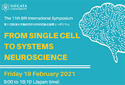 The 11th BRI International Symposium