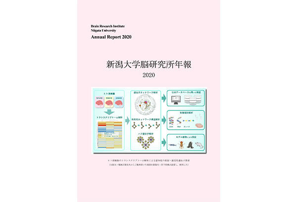BRI Annual Report 2020 issued