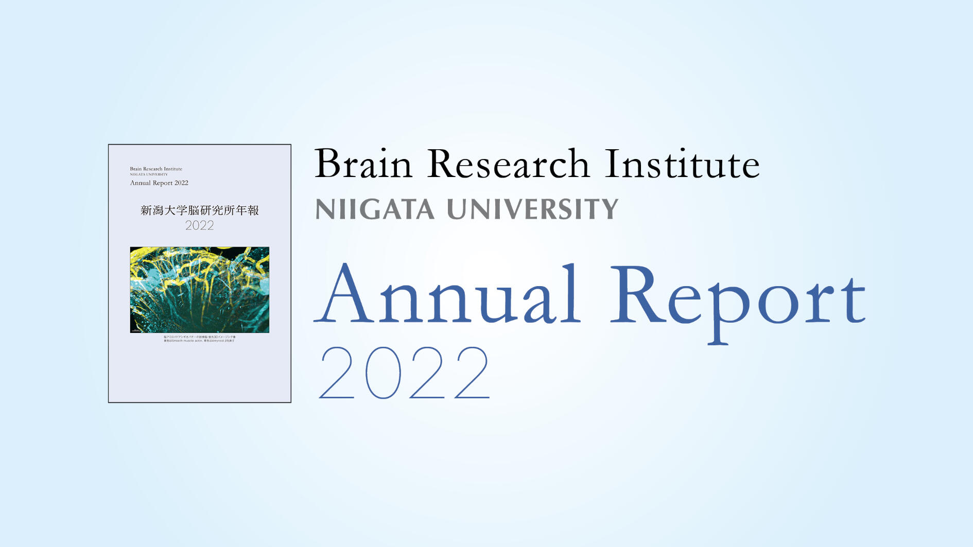 BRI Annual Report 2022 issued