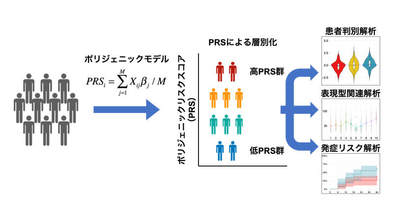 Polygenic effects on the risk of Alzheimer's disease in the Japanese population