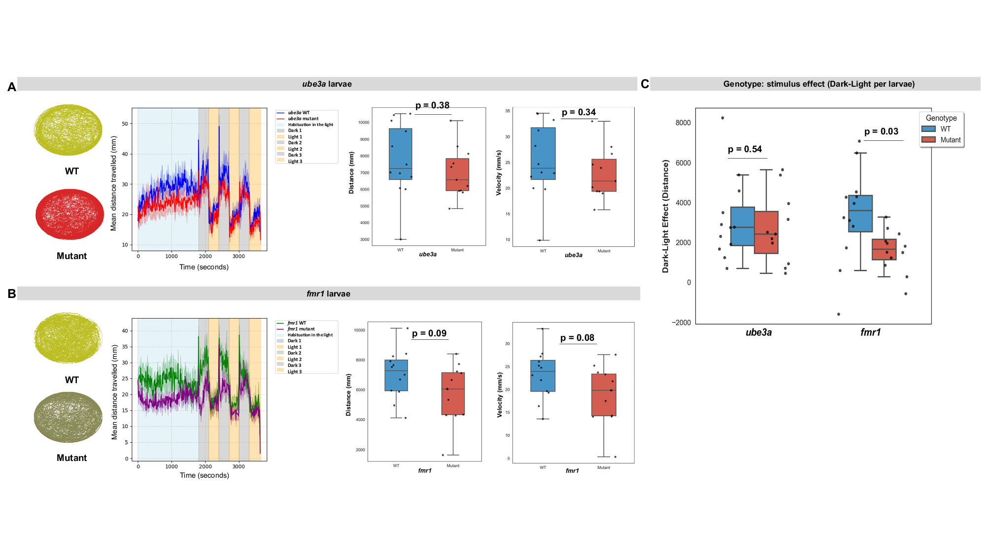 Behavioral and molecular insights into anxiety in ube3a and fmr1 zebrafish models of autism spectrum disorders
