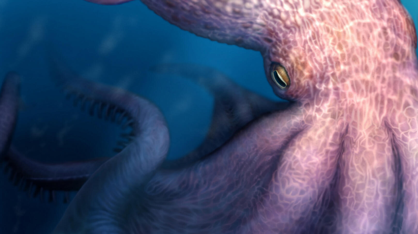 Earliest octopuses were giant top predators in Cretaceous oceans