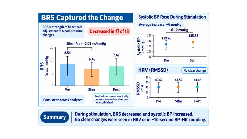 A New Clue for Assessing the Body's Response to Mild Electrical Stimulation of the Ear: Changes in Heart Rate Regulation Observed in 17 of 18 Participants
