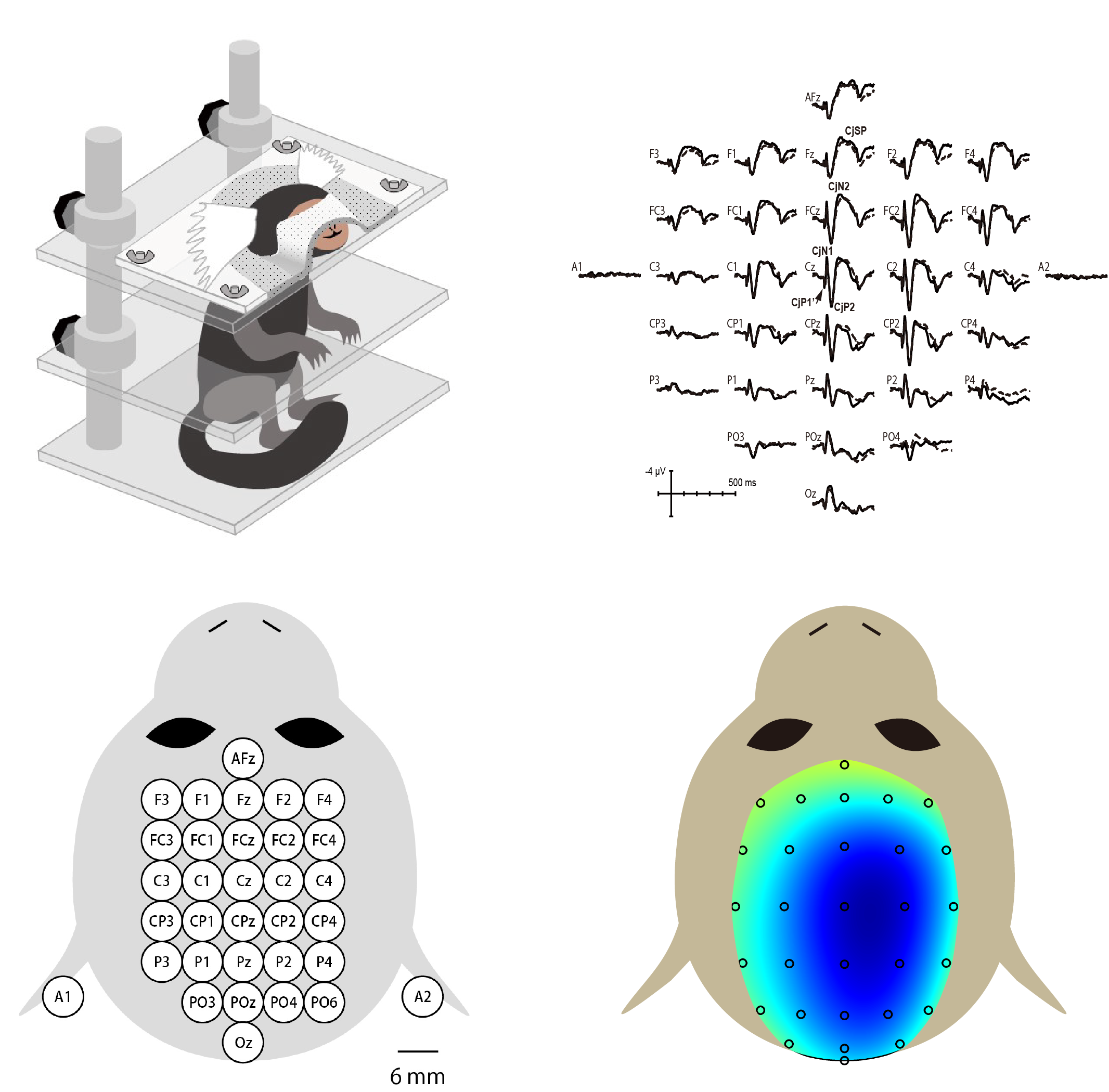 A novel "dipin electrode" method for electrode application to record