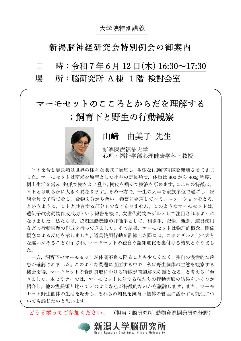 詳細PDF