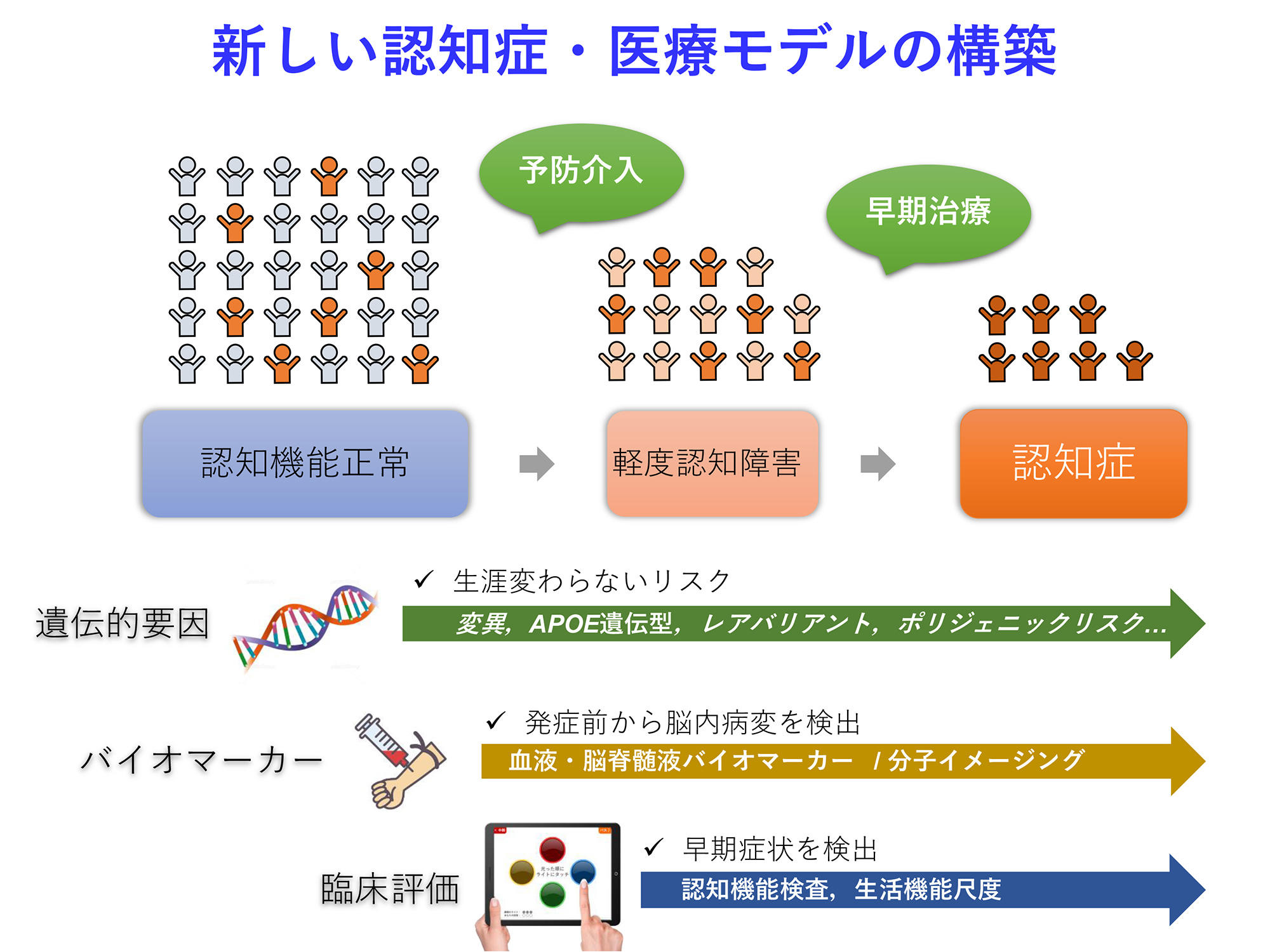 遺伝子機能解析学分野 研究分野紹介 新潟大学脳研究所