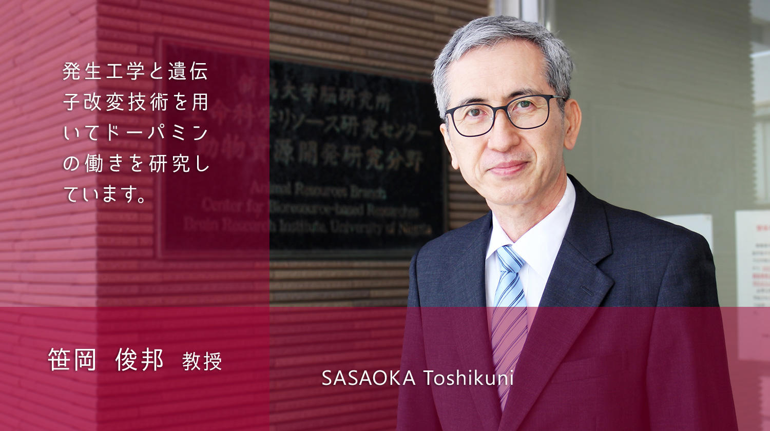 動物資源開発研究分野 研究分野紹介 新潟大学脳研究所 脳研 動物資源開発研究分野 研究分野紹介 新潟大学脳研究所 脳研
