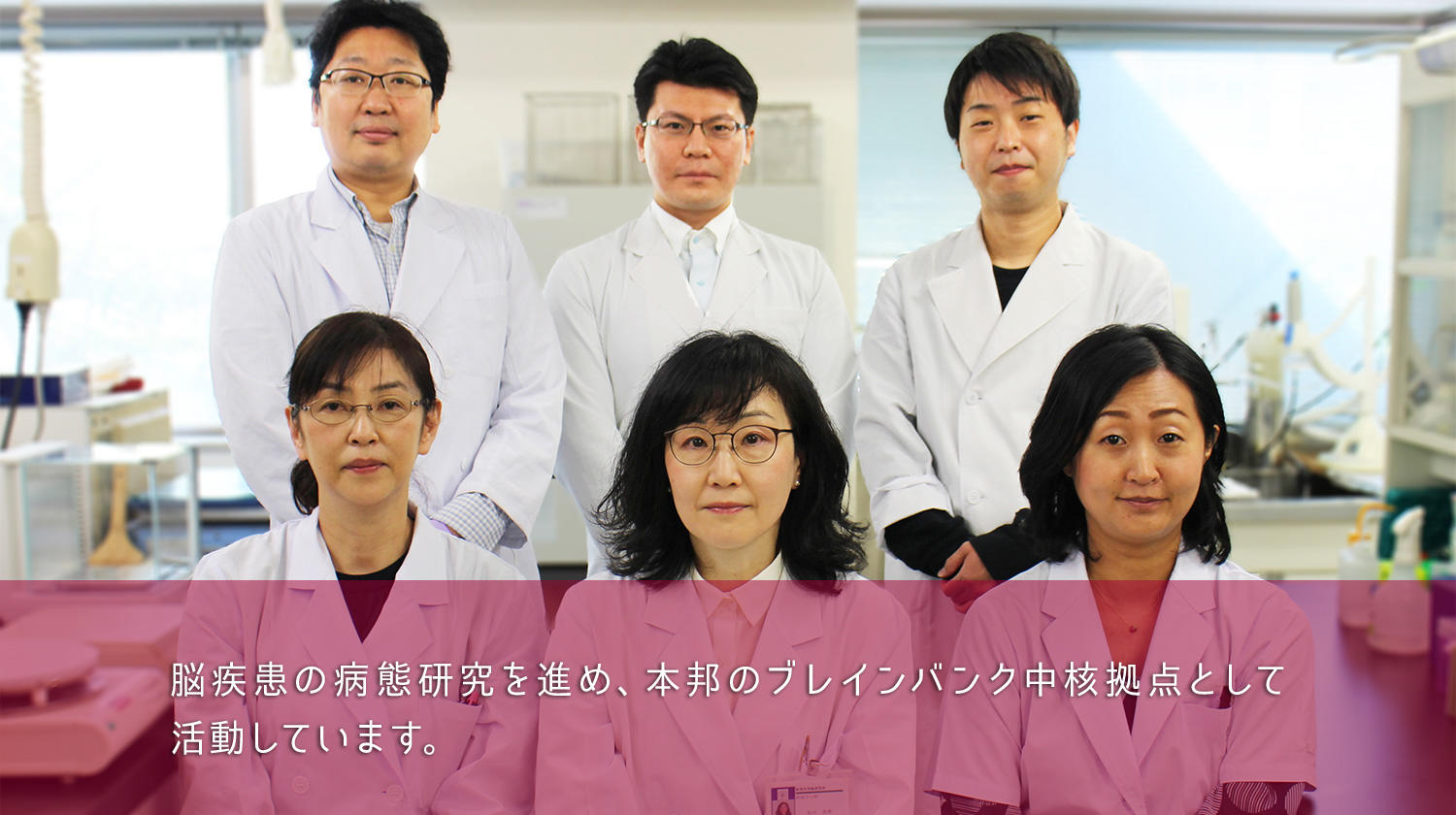 脳疾患標本資源解析学分野集合画像