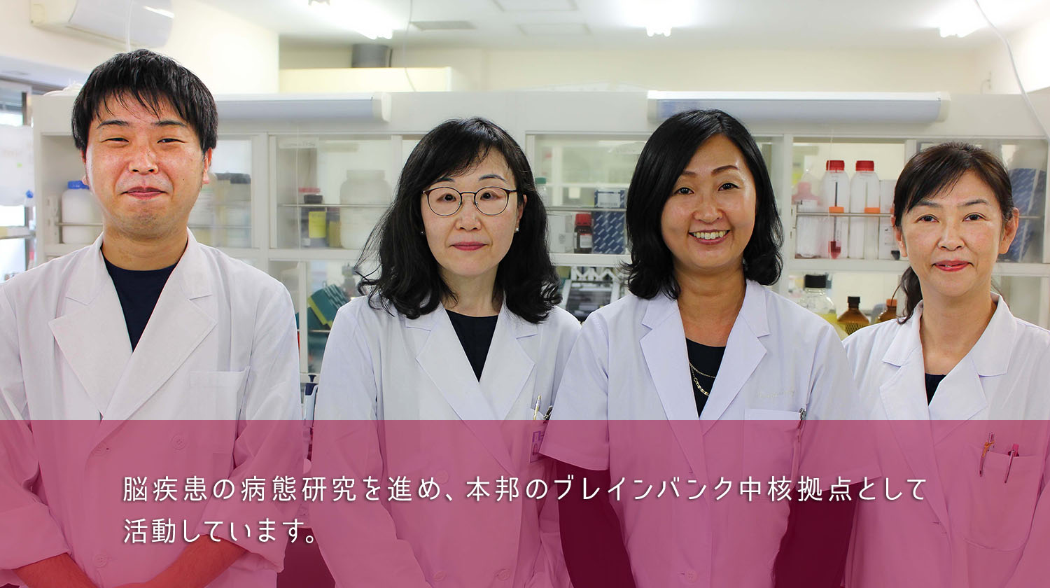 脳疾患標本資源解析学分野集合画像