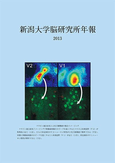 脳研究所年報2013