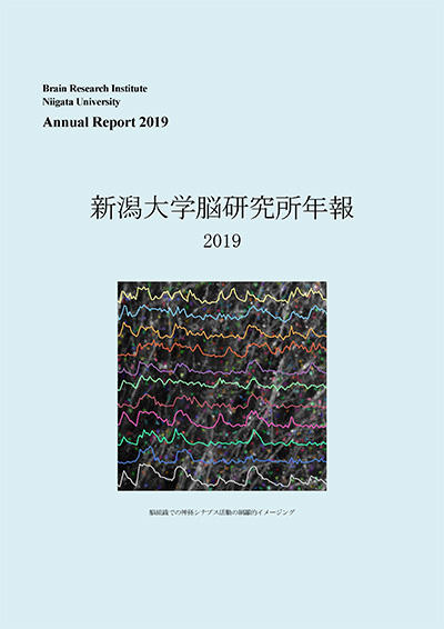 BRI Annual Report 2019