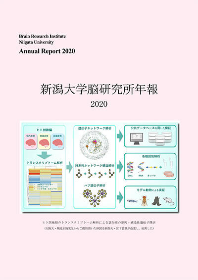 BRI Annual Report 2020