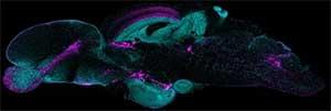 syspath_pic01 画像1