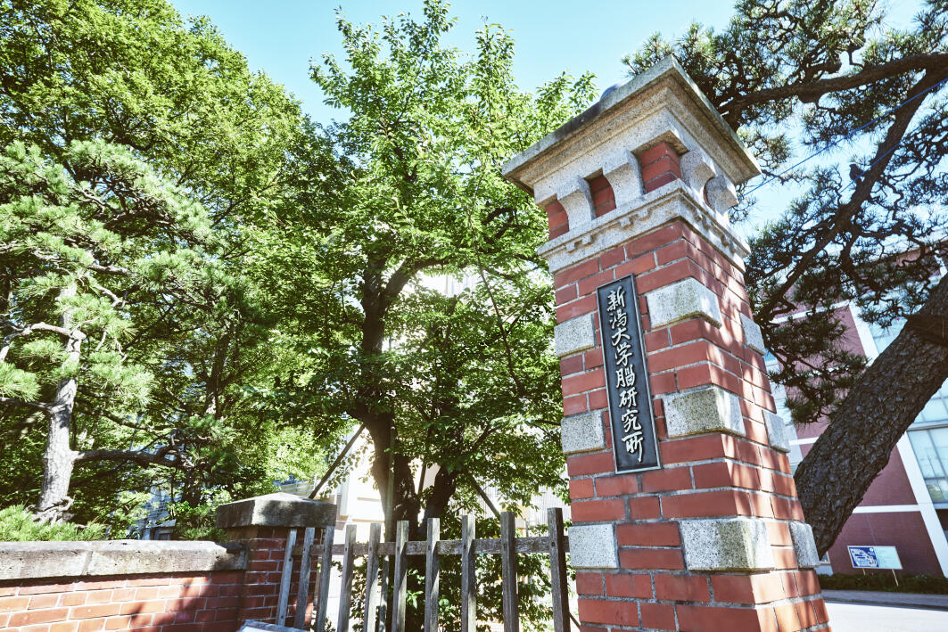 Main Gate of Niigata University School of Medicine