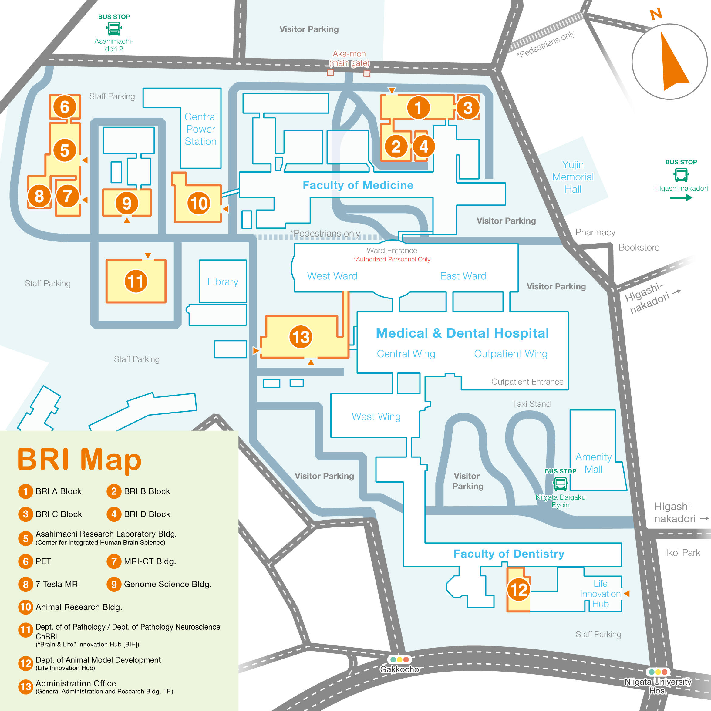 新潟大学脳研究所 構内マップ