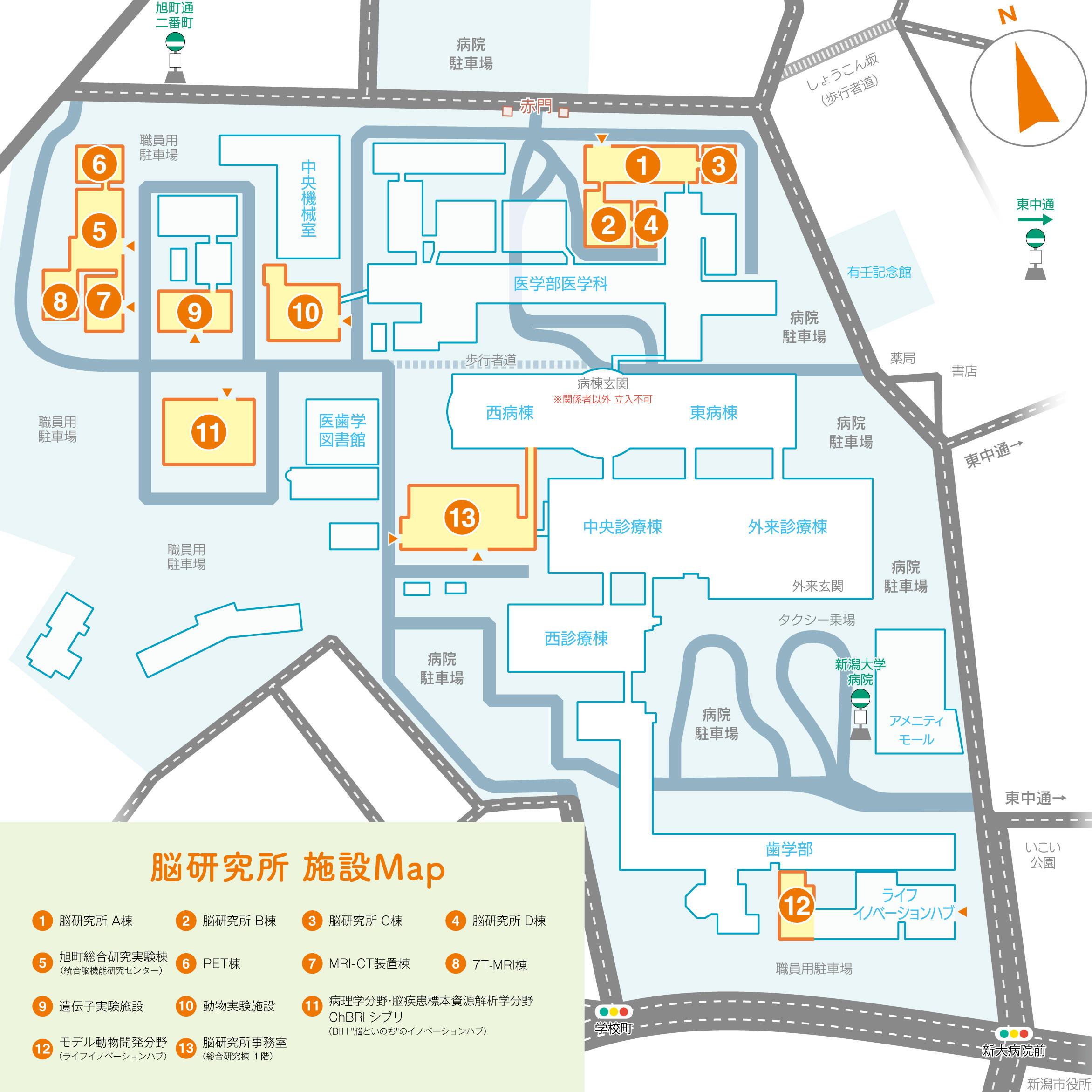 新潟大学脳研究所 構内マップ