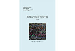「脳研究所年報2019」を掲載しました