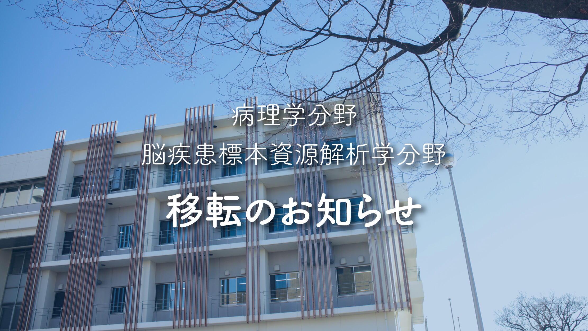 病理学分野および脳疾患標本資源解析学分野が