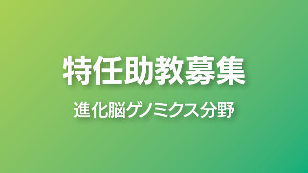 特任助教募集:進化脳ゲノミクス分野 1名