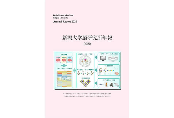 「脳研究所年報2020」を掲載しました