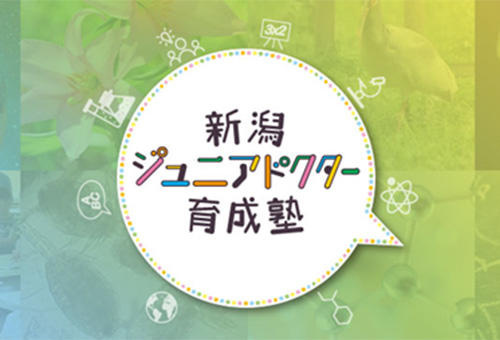  新潟ジュニアドクター育成塾「みてみよう！ヒトの脳と心」をオンライン開催しました