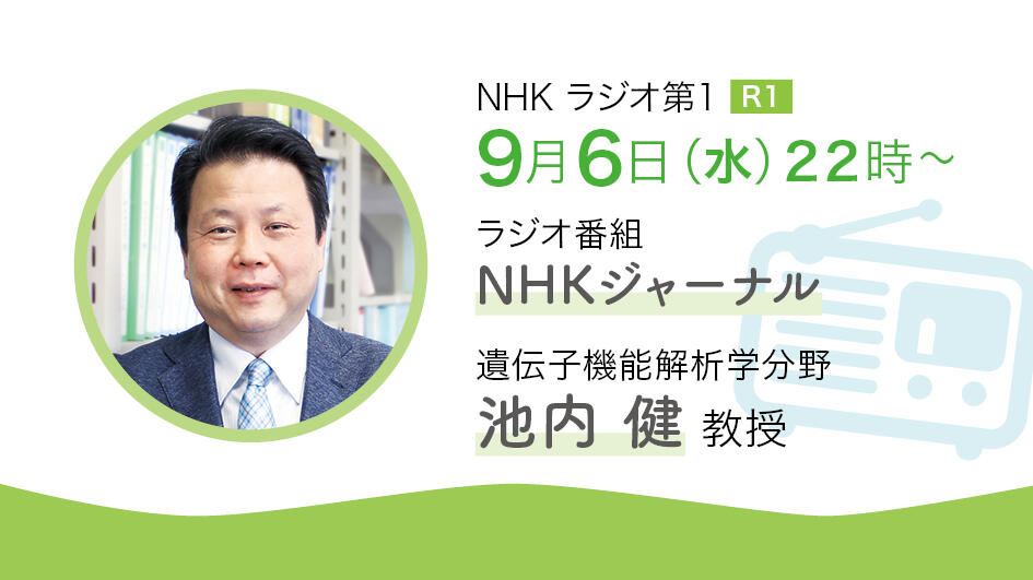 9/6・22時放送　ラジオ番組「NHKジャーナル」に、遺伝子機能解析学分野の池内健教授が出演します！