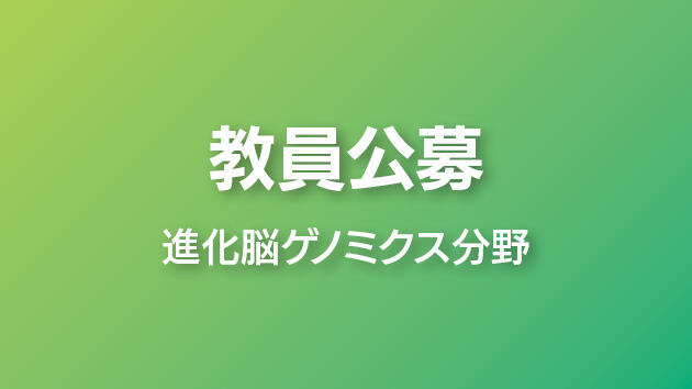 教員公募について（進化脳ゲノミクス分野 教授 1名）