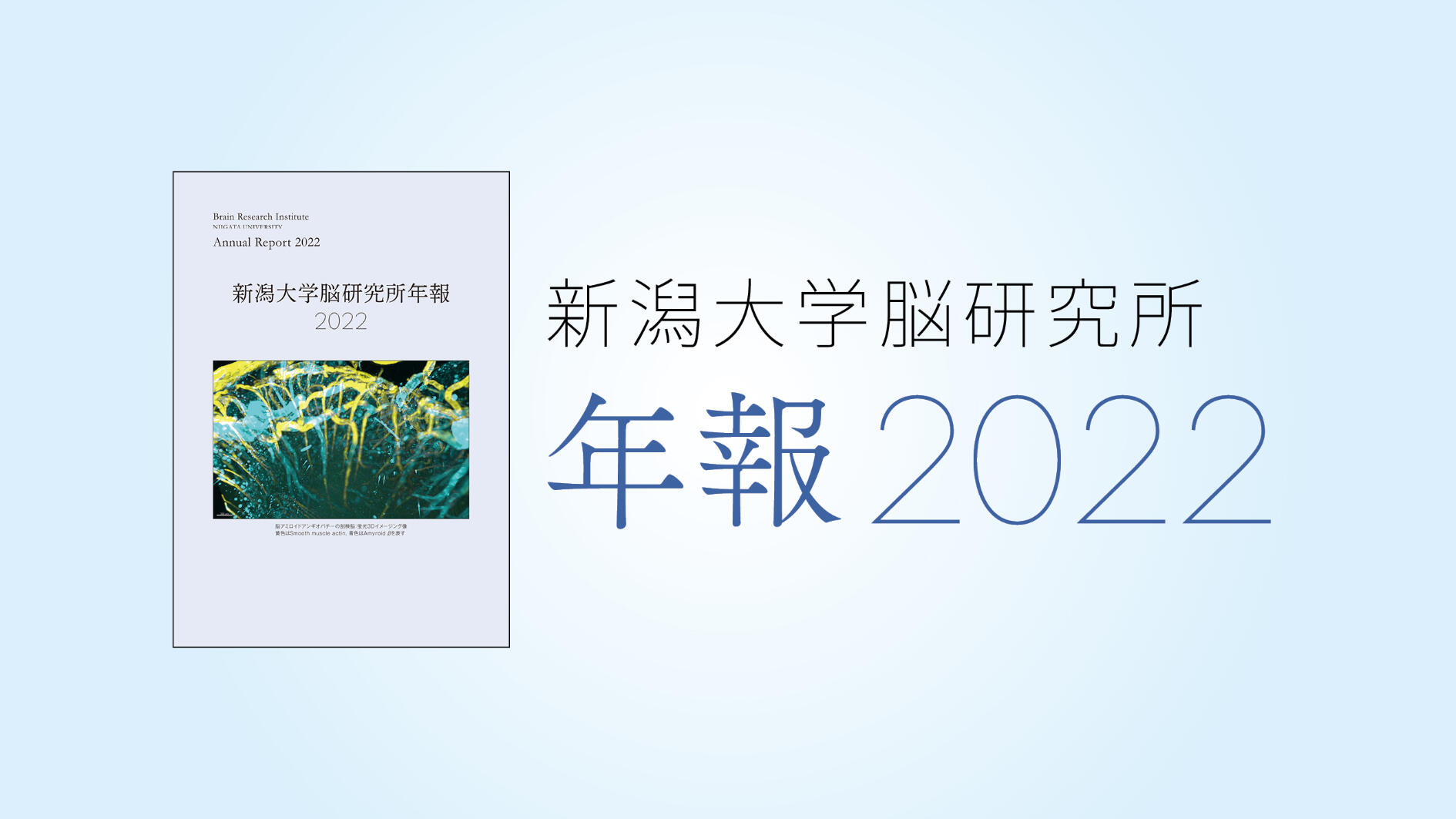 脳研究所年報2022を公開しました