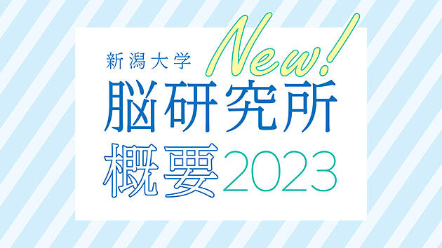 脳研究所概要2023と英語版リーフレットを発行しました！