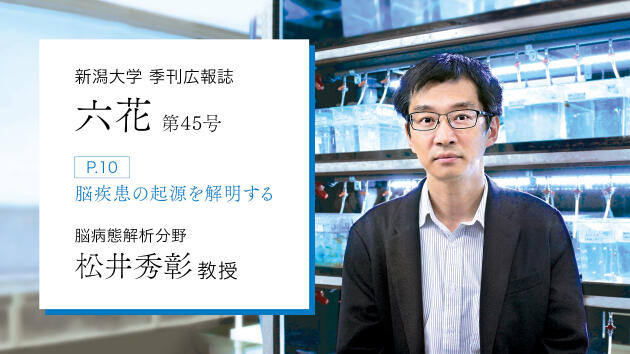 新潟大学季刊広報誌「六花」に、脳病態解析分野 松井秀彰教授の研究内容が掲載されました！