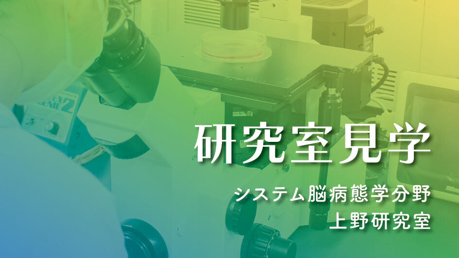 新潟市の小学生1名が見学に訪れました！