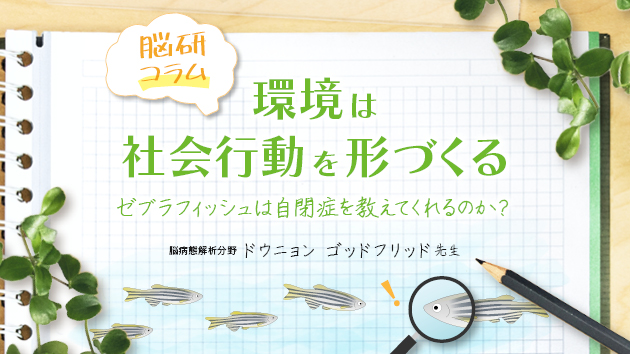 環境は社会行動を形づくる：ゼブラフィッシュは自閉症を教えてくれる