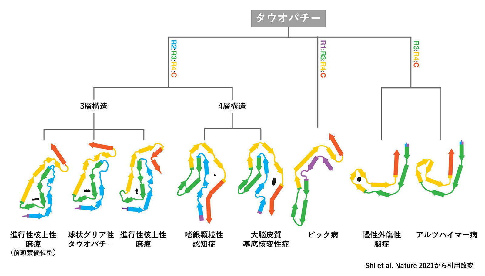 211014.ikeuchi_seika_pic.jpg